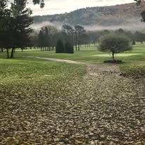 Fall leaves covering the cart path on a misty autumn morning