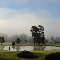 Misty morning over the course pond and tree line