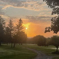 Golden sunrise glowing through the trees over the course